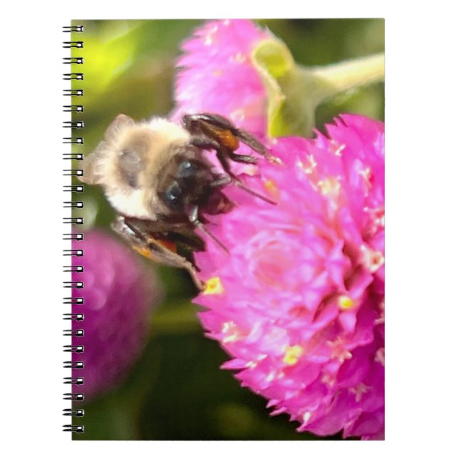 Caderno Espiral Abelhas e Flores (Frente)
