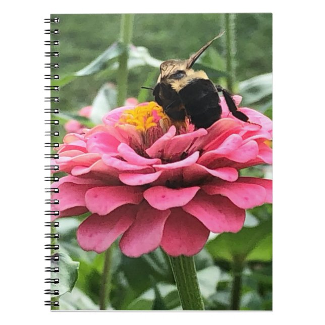Caderno Espiral Abelhas e Flores (Frente)