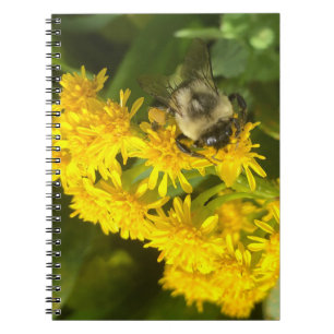Caderno Espiral Abelhas e Flores
