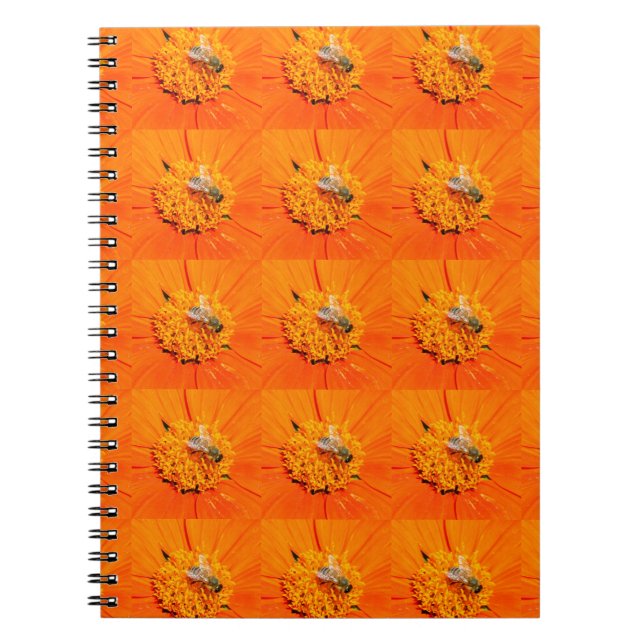 Caderno Espiral abelhas melosas no notebook laranja (Frente)