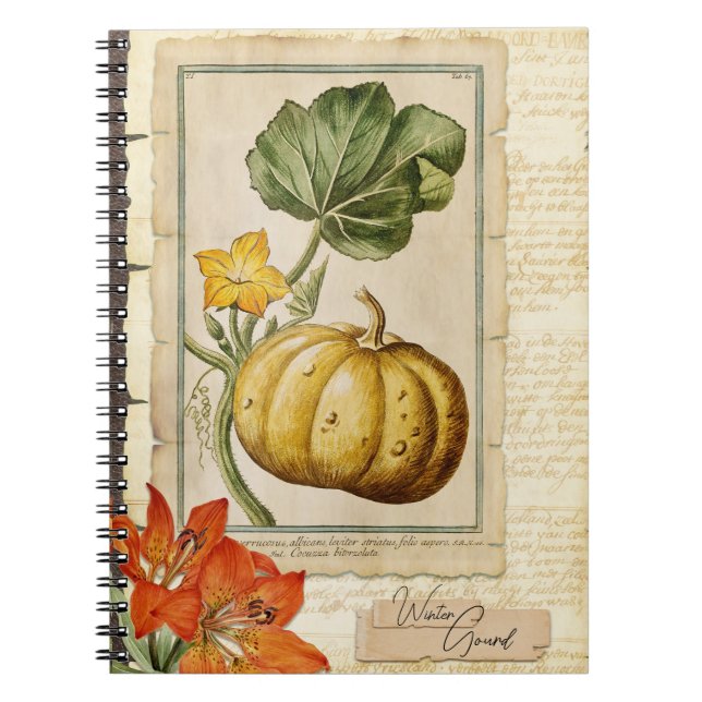 Caderno Espiral Abóbora-de-inverno (Frente)
