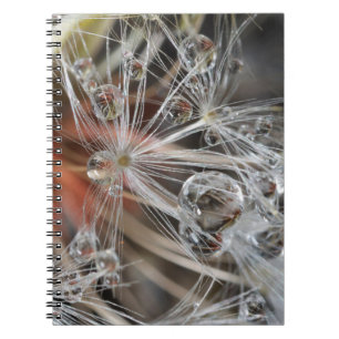 Caderno Espiral Abstrato de Dandelion