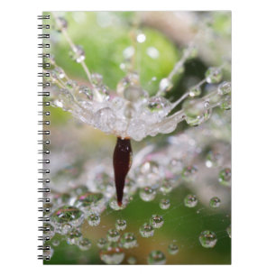 Caderno Espiral Abstrato de Dandelion Delicado
