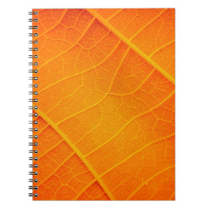 Caderno Espiral Abstrato fechar um texto em folha laranja e amarel