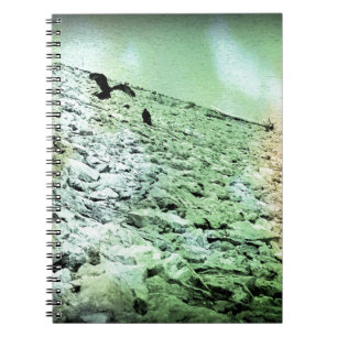 Caderno Espiral Abutres no lago