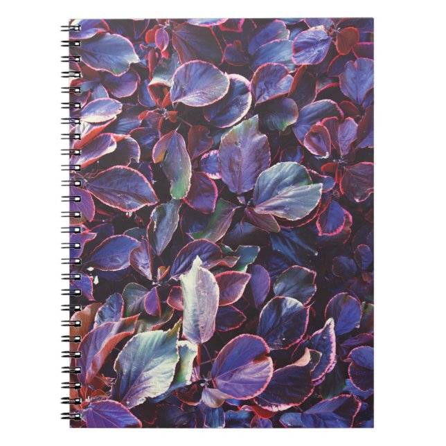 Caderno Espiral Acalypha Wilkesiana (Frente)