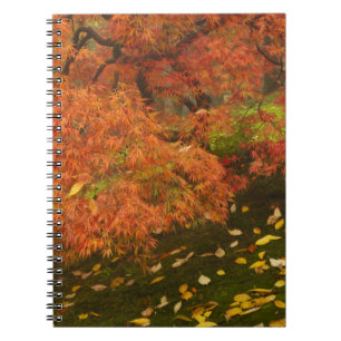 Caderno Espiral Ácer japonês na cor de outono