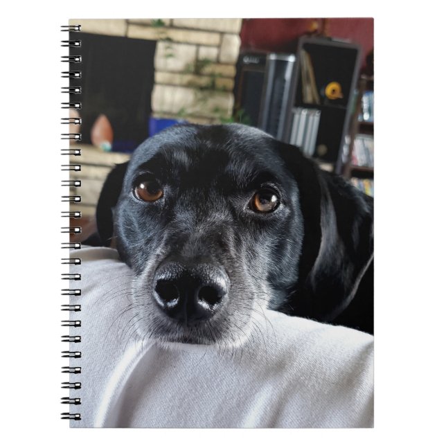 Caderno Espiral Adicione a foto do seu cão a este personalizado (Frente)