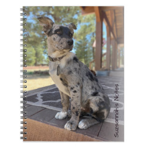 Caderno Espiral Adicione A Sua Fotografia - Marcador De Posição