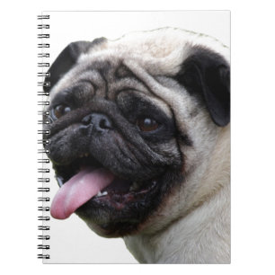 Caderno Espiral Adicione nomes aos acessórios de fotos de Pug bra