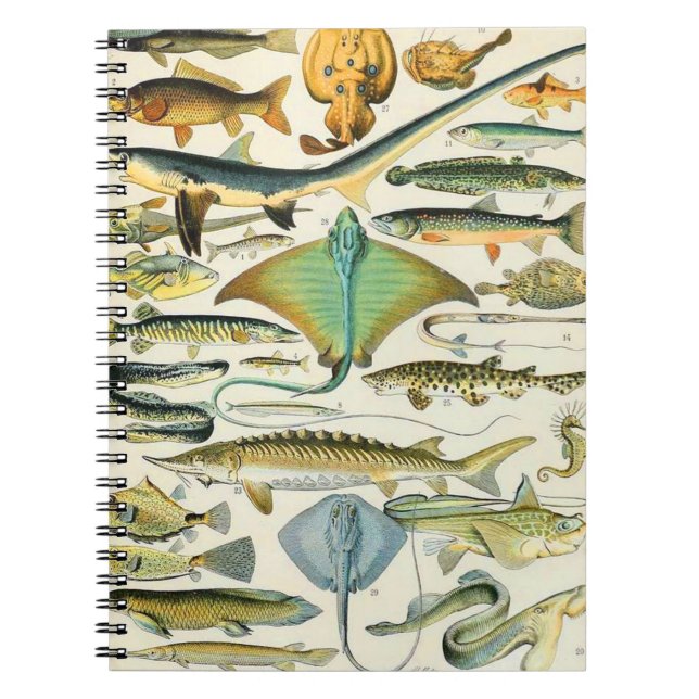 Caderno Espiral Adolphe Millot Fish B (Frente)