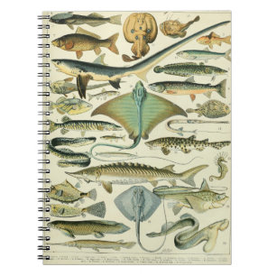 Caderno Espiral Adolphe Millot Fish Pattern-A