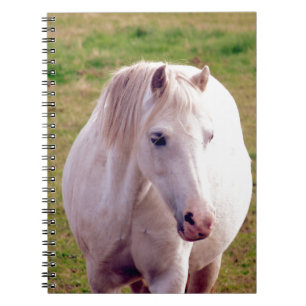 Caderno Espiral Adorável Cinza Pony