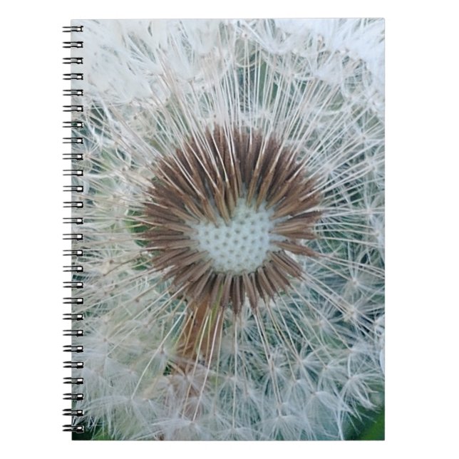 Caderno Espiral Adorável Dandelion Branco (Frente)