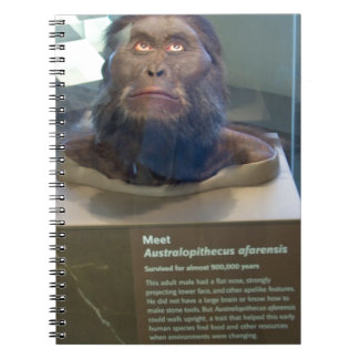 Caderno Espiral Afarensis do Australopithecus; exibição do museu
