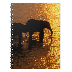 Caderno Espiral África, Botsuana, Delta do Okavango. Africano