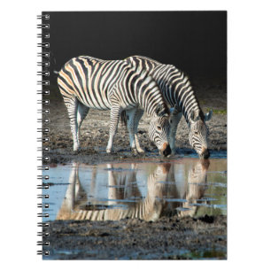Caderno Espiral África, Botsuana, Delta do Okavango, Davison Camp
