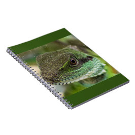 Caderno Espiral Agama, lagarto