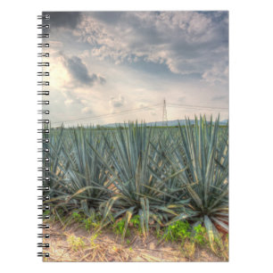 Caderno Espiral Agave azul
