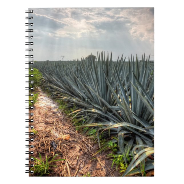 Caderno Espiral Agave Tequilana (Frente)