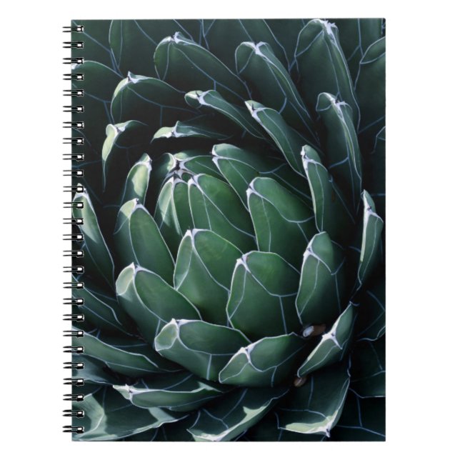 Caderno Espiral Agave verde (Frente)