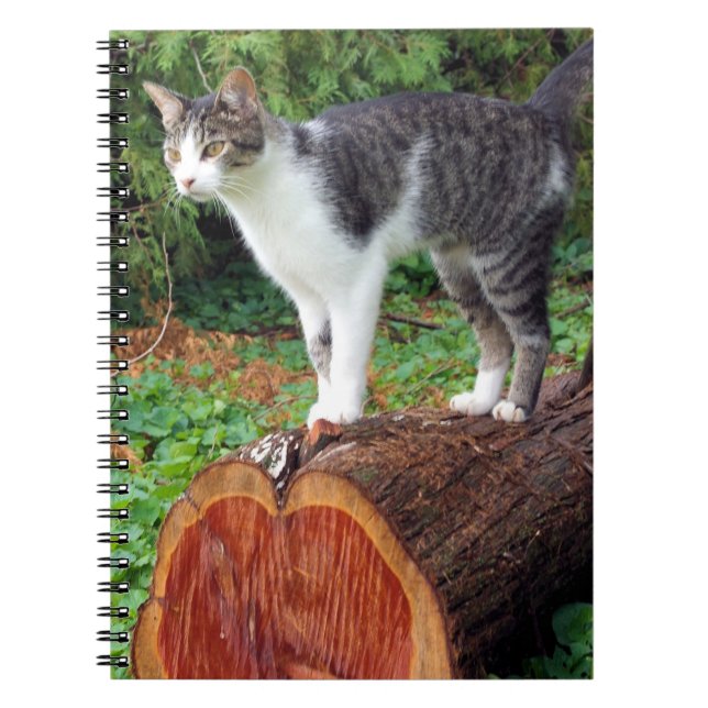 Caderno Espiral Agora Você Tem Minha Atenção - Notebook Gatinho (Frente)