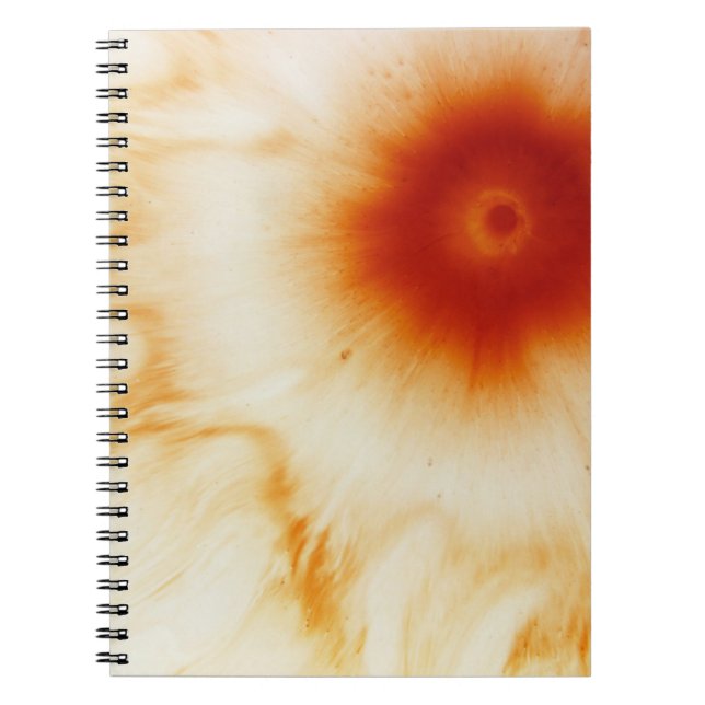 Caderno Espiral Água (Frente)