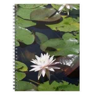 Caderno Espiral Água Lily