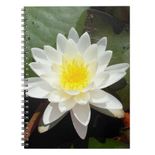 Caderno Espiral Água Lily