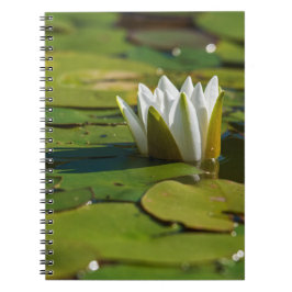 Caderno Espiral Água Lily Blossom