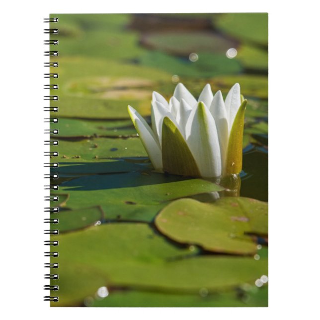 Caderno Espiral Água Lily Blossom (Frente)