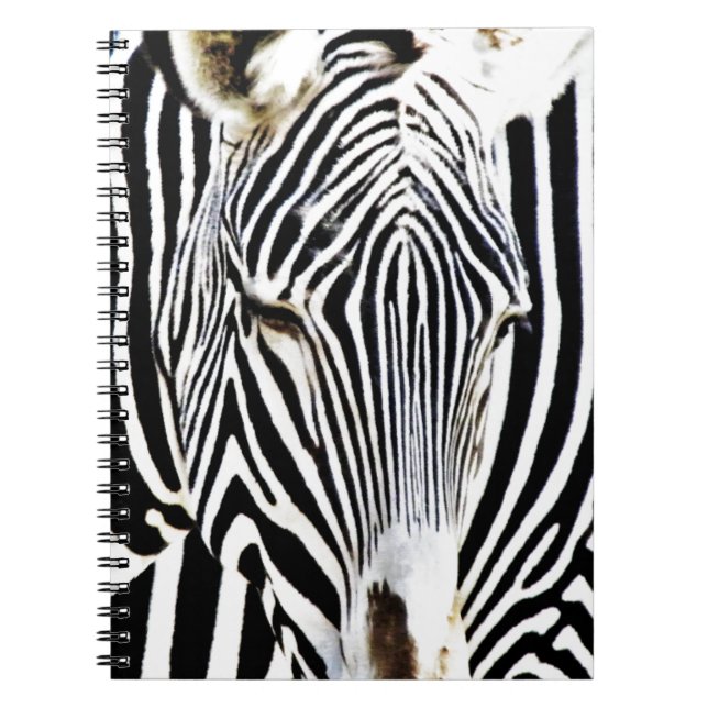 Caderno Espiral Aguardando_ (Frente)