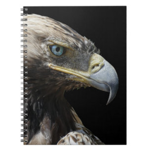 Caderno Espiral Águia