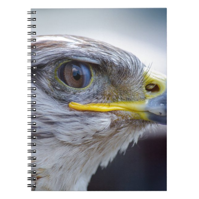 Caderno Espiral Águia (Frente)