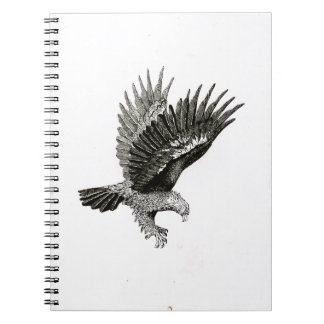 Caderno Espiral Águia à Luz