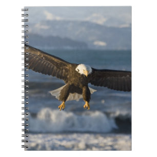 Caderno Espiral Águia Americana, Haliaeetus leucocephalus, Homer,