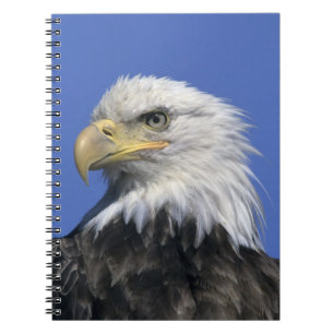 Caderno Espiral Águia Americana, (Haliaeetus leucocephalus), selva