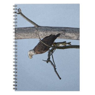Caderno Espiral Águia Balda com um peixe