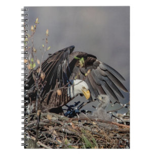 Caderno Espiral Águia caida com o bebê