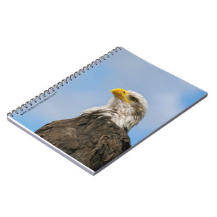 Caderno Espiral Águia-careca