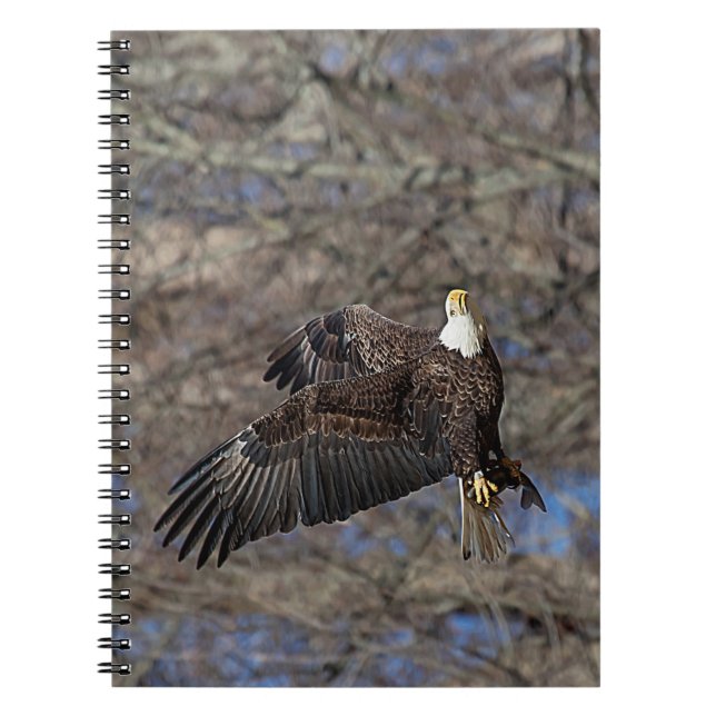 Caderno Espiral Águia-careca com um peixe-gato (Frente)