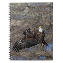 Caderno Espiral Águia-careca com um peixe-gato