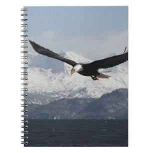 Caderno Espiral Águia-careca em Voo, Haliaeetus leucocephalus,