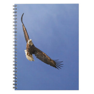 Caderno Espiral Águia Careca Voando Alto