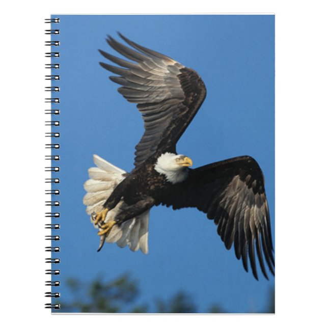 Caderno Espiral Águia em Movimento (Frente)