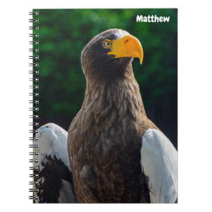 Caderno espiral Águia Marinha Estelar