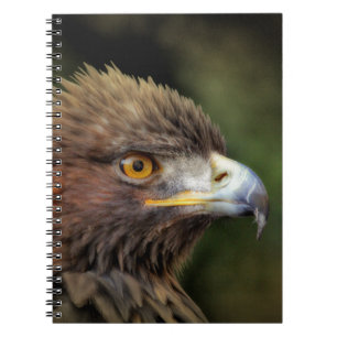 Caderno Espiral águia ouro