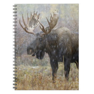 Caderno Espiral Alce macho em tempestade de neve com árvores de ál