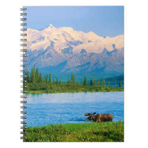 Caderno Espiral Alce macho no Wonder Lake