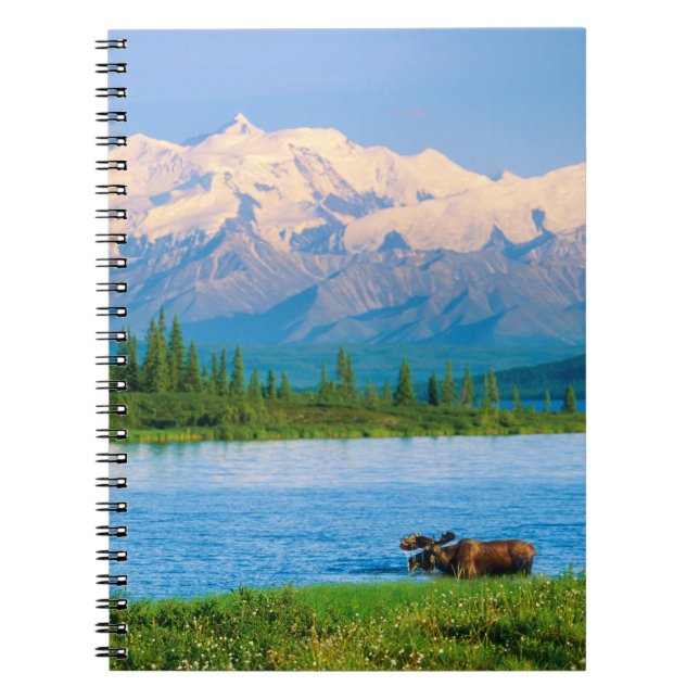 Caderno Espiral Alce macho no Wonder Lake (Frente)